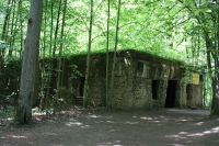 10785_po-p1 (235).JPG